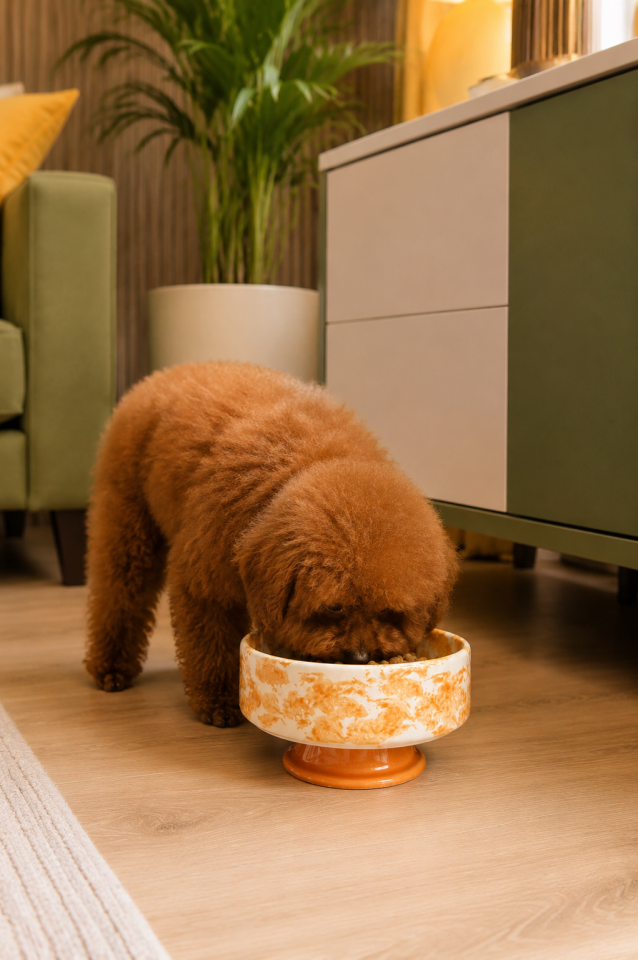 Mama Kabı - Kedi ve Köpek 1 Adet Doğal Mama veya Su Kabı Ebruli Soft Sarı