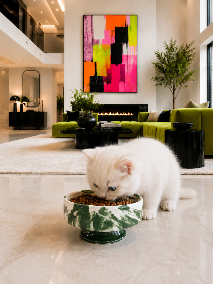 Mama Kabı Kedi ve Köpek 1 Adet Doğal Mama veya Su Kabı Yeşil Marble